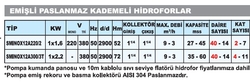 Emişli Paslanmaz Kademeli Hidroforlar SMINOX12A220/2 1x1.6 Kw - Thumbnail